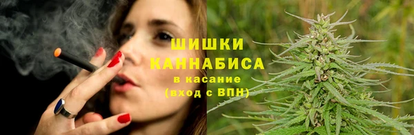 сатива Аркадак