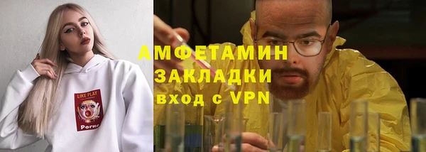 прущие грибы Армянск