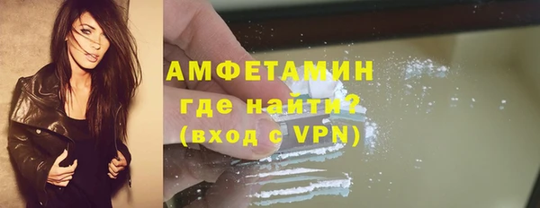 прущие грибы Армянск