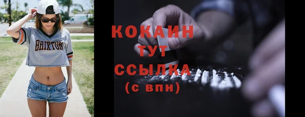 прущие грибы Армянск