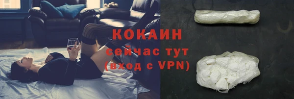 сатива Аркадак