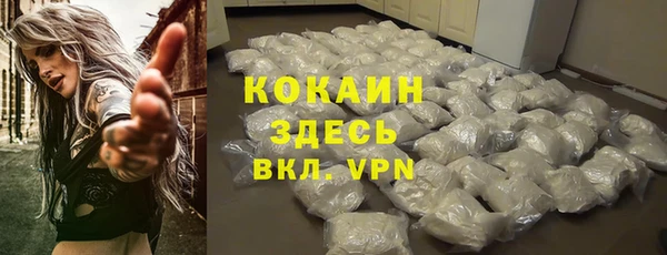 прущие грибы Армянск