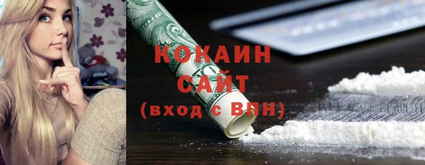 прущие грибы Армянск