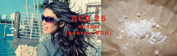 сатива Аркадак